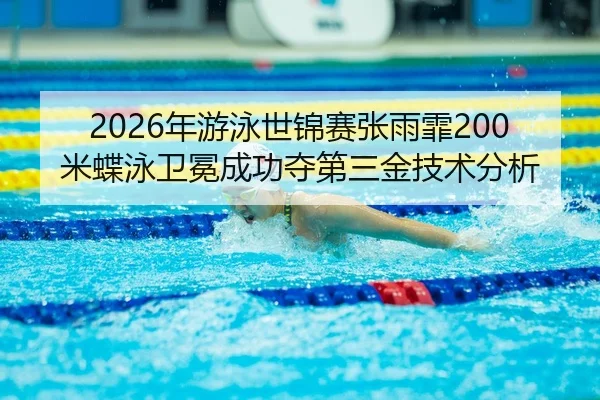 nian-you-yong-shi-jin-sai-zhang-yu-fei-mi-die-yong-wei-mian-cheng-gong-duo-di-san-jin-ji-shu-fen-xi-2-597.jpg